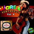  Micareta Sertaneja Vol.4 (2013)